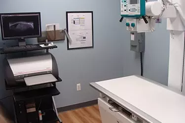 Digital X Ray in muzaffarnagar, Xray in muzaffarnagar, Most Advanced Digital X Ray in muzaffarnagar, Cost of Digital X Ray in muzaffarnagar